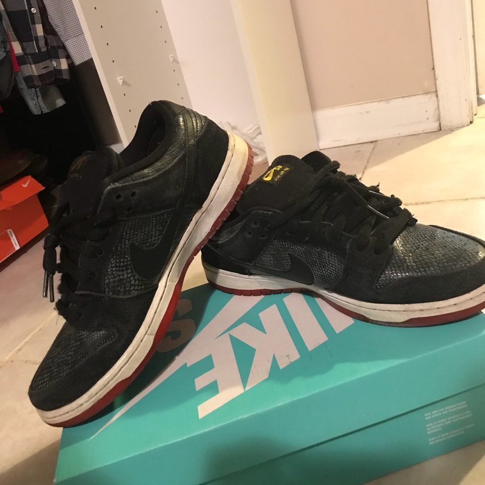 Nike Sb Dunk